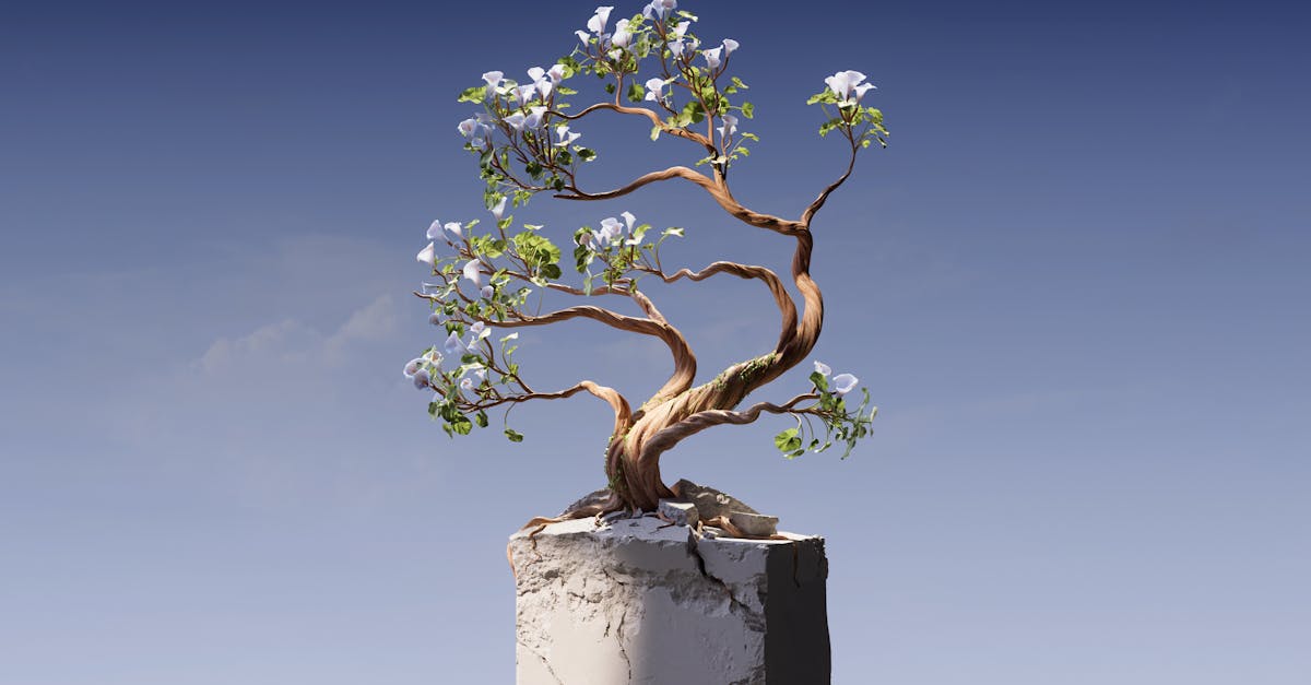 Gilbert Lawn Care Services